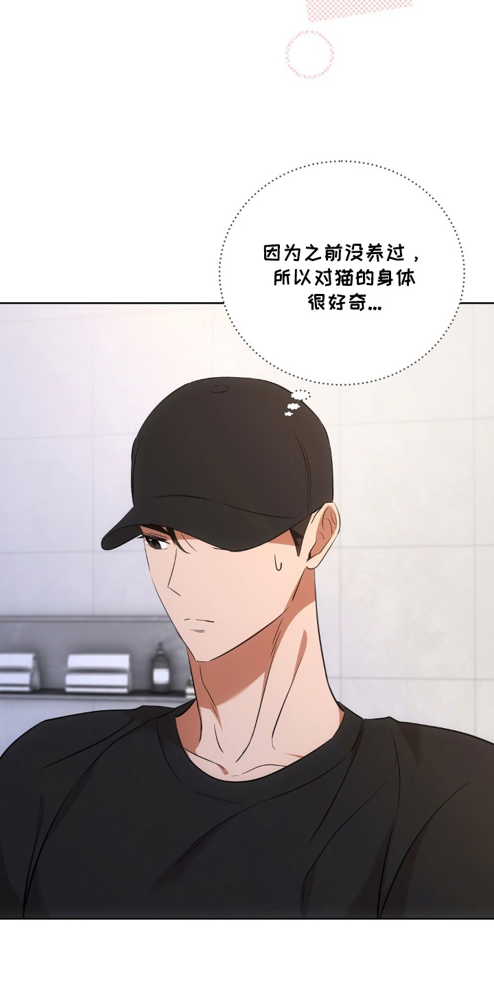 第15章：认真考虑4