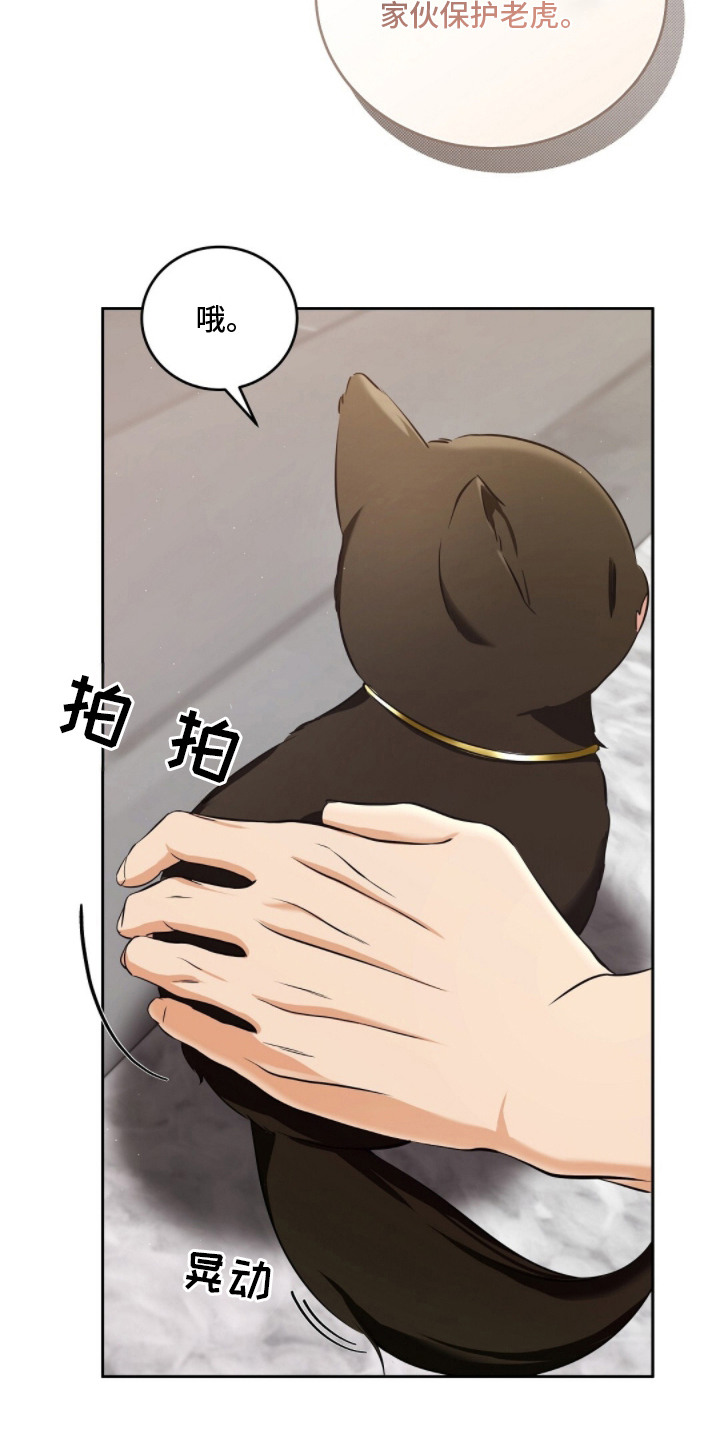 我的黑猫少年解析漫画,第6章：肢体语言2图