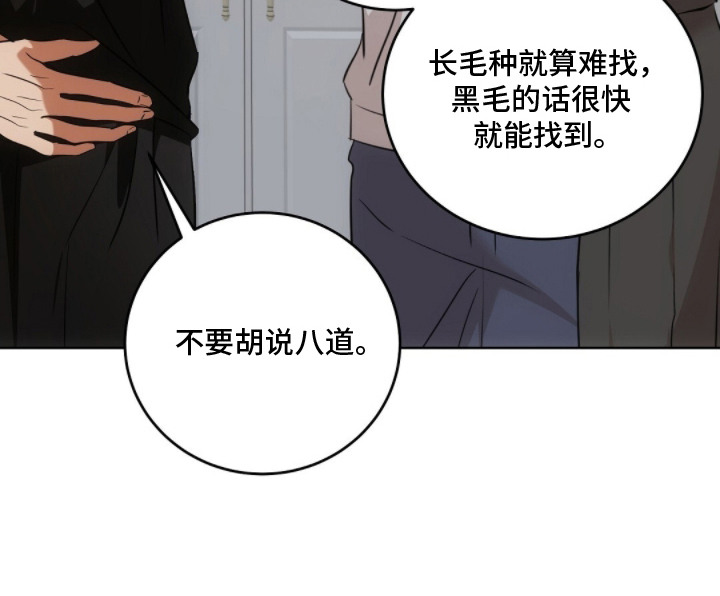 我的黑猫少年解析漫画,第13章：争吵5图