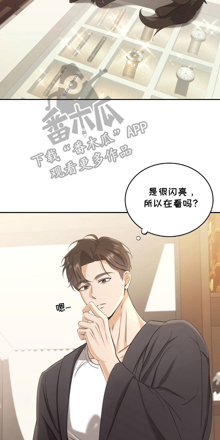 第4章：适应新领域3