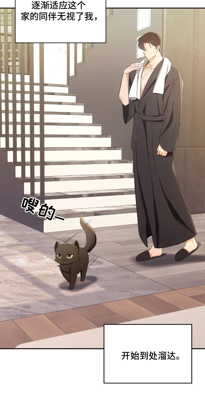 第4章：适应新领域3