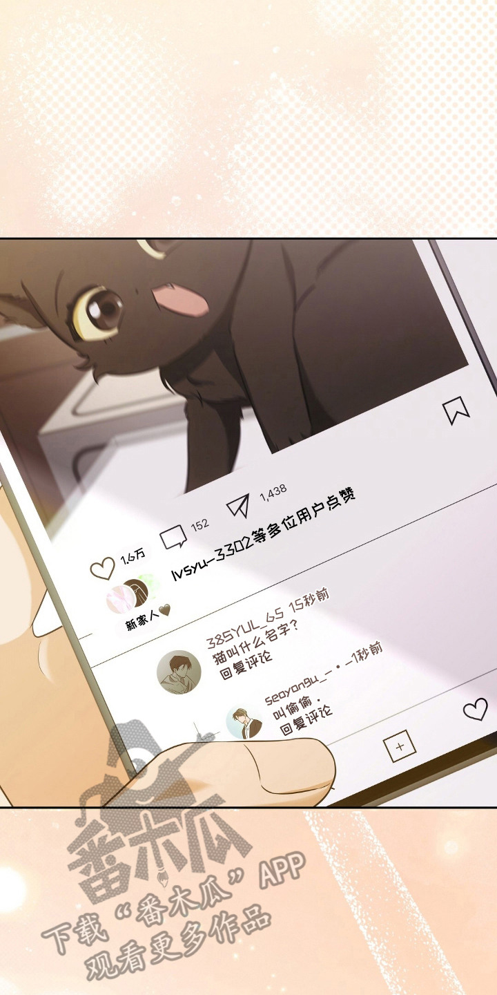 第4章：适应新领域1