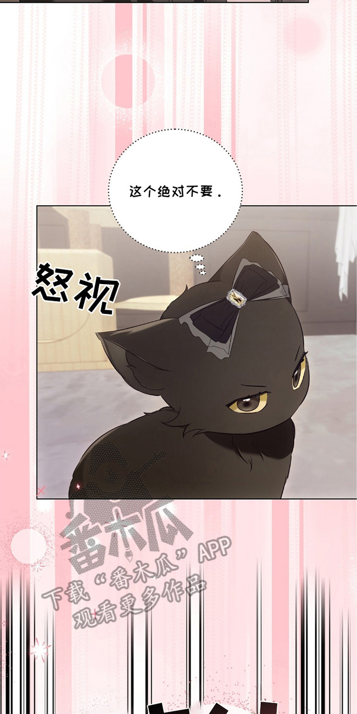 我的黑色小短裙漫画,第21章：撒娇3图