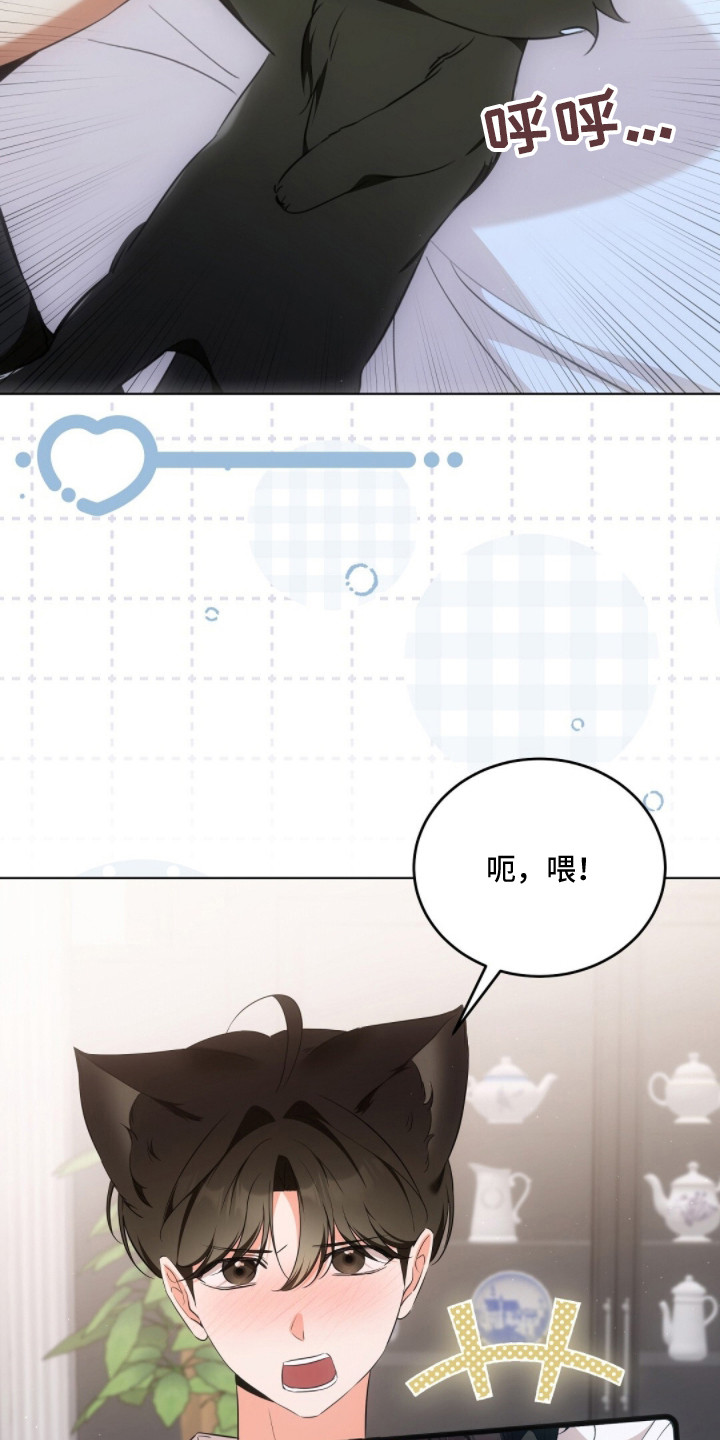 我的黑道妹妹漫画,第18章：照片4图