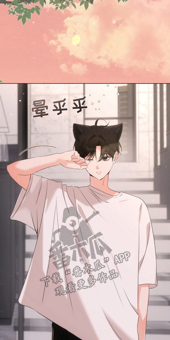 我的黑猫少年解析漫画,第17章：下意识5图