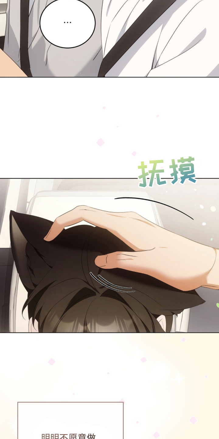 我的黑猫少年解析漫画,第22章：讨厌不起来1图