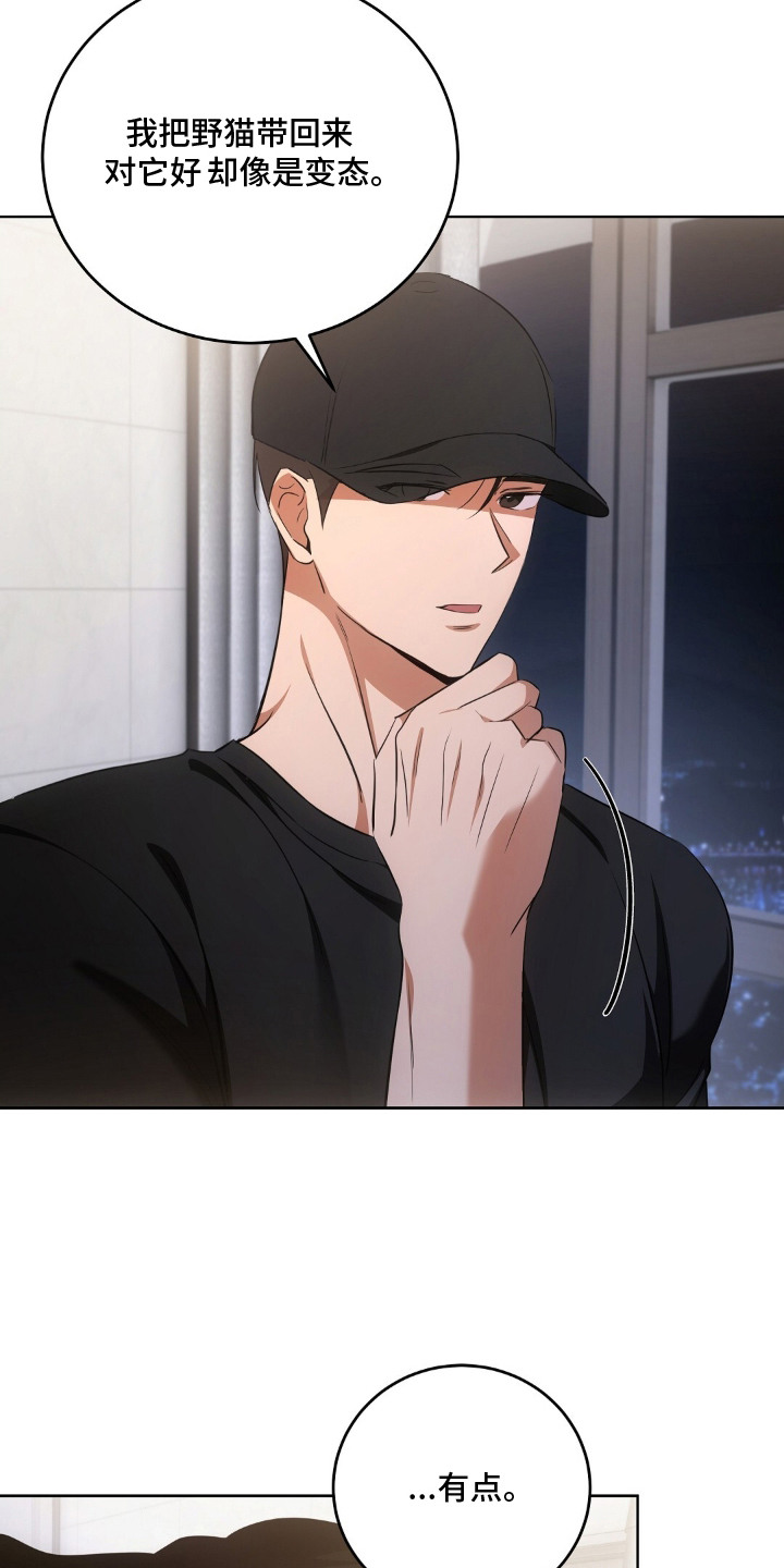 第15章：认真考虑2