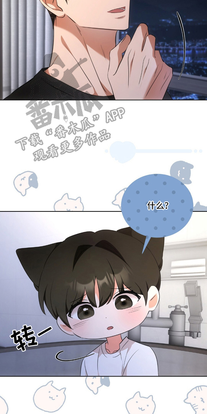 第15章：认真考虑4