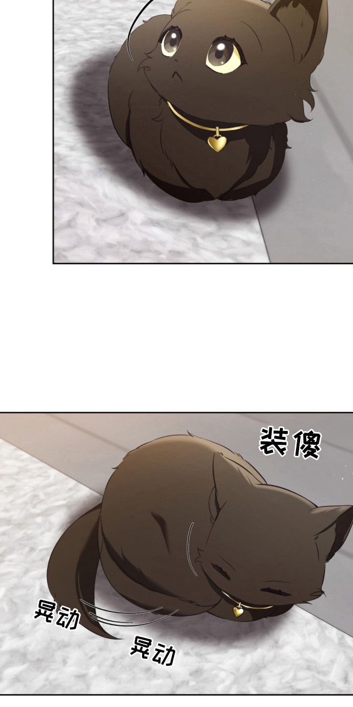 我的黑猫少年解析漫画,第6章：肢体语言5图