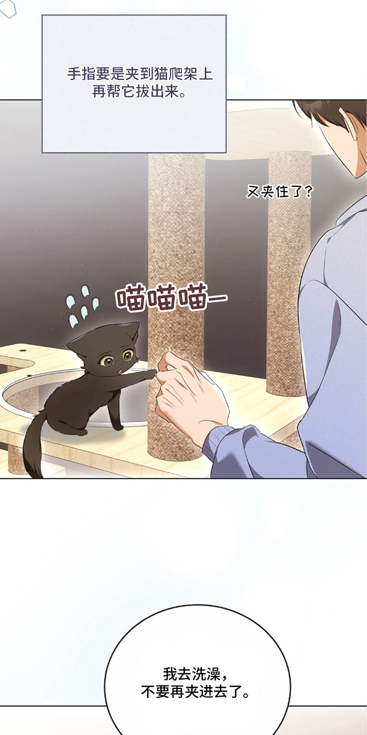 我的黑猫少年漫画,第20章：忙碌5图