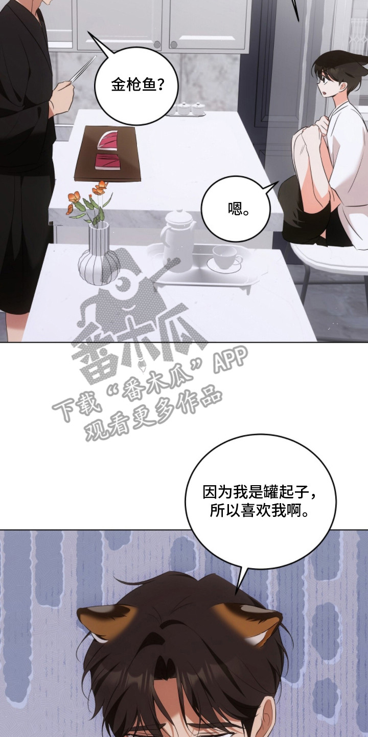 我的黑猫少年漫画,第18章：照片4图