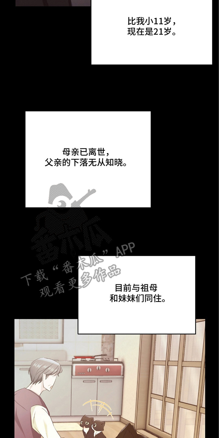 我的黑猫少年解析漫画,第10章：新闻舆论3图