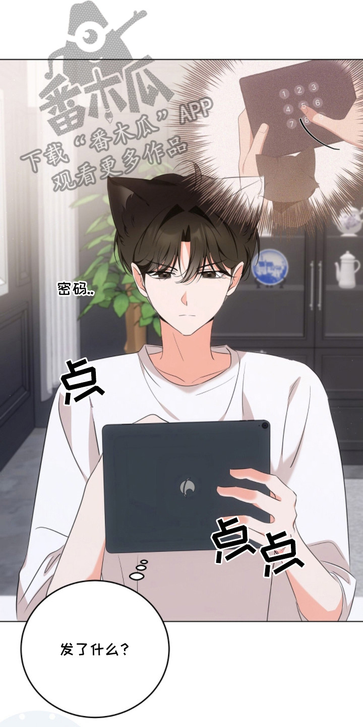 我的黑猫少年漫画,第18章：照片5图