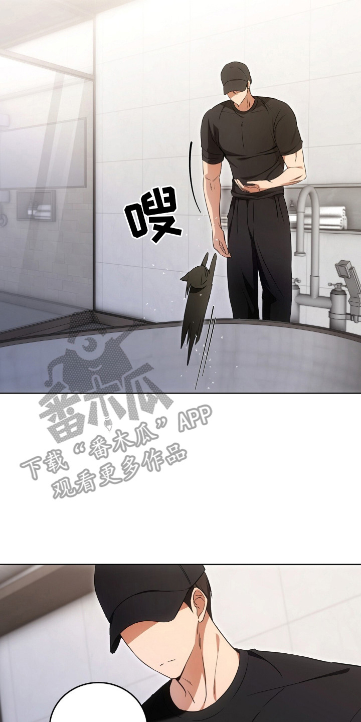 我的黑猫少年漫画,第16章：不情不愿2图