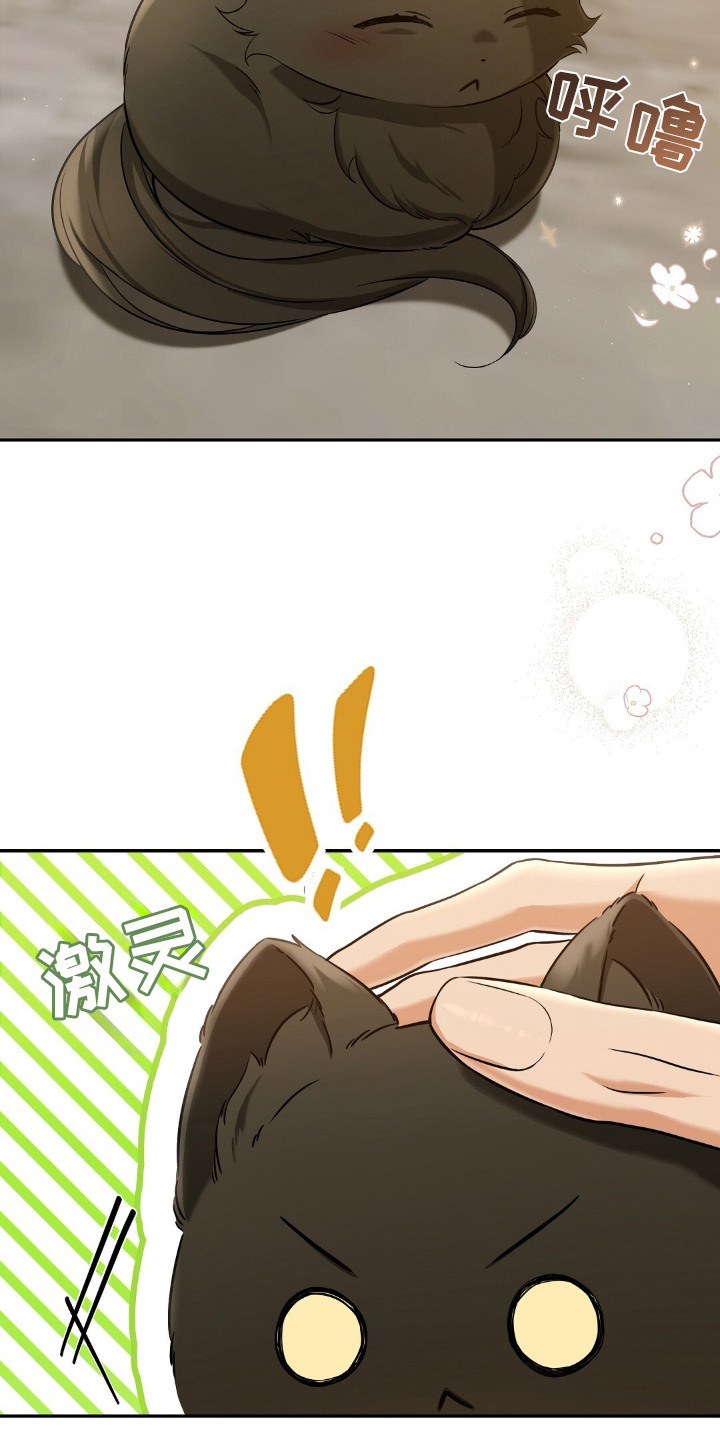 第4章：适应新领域4