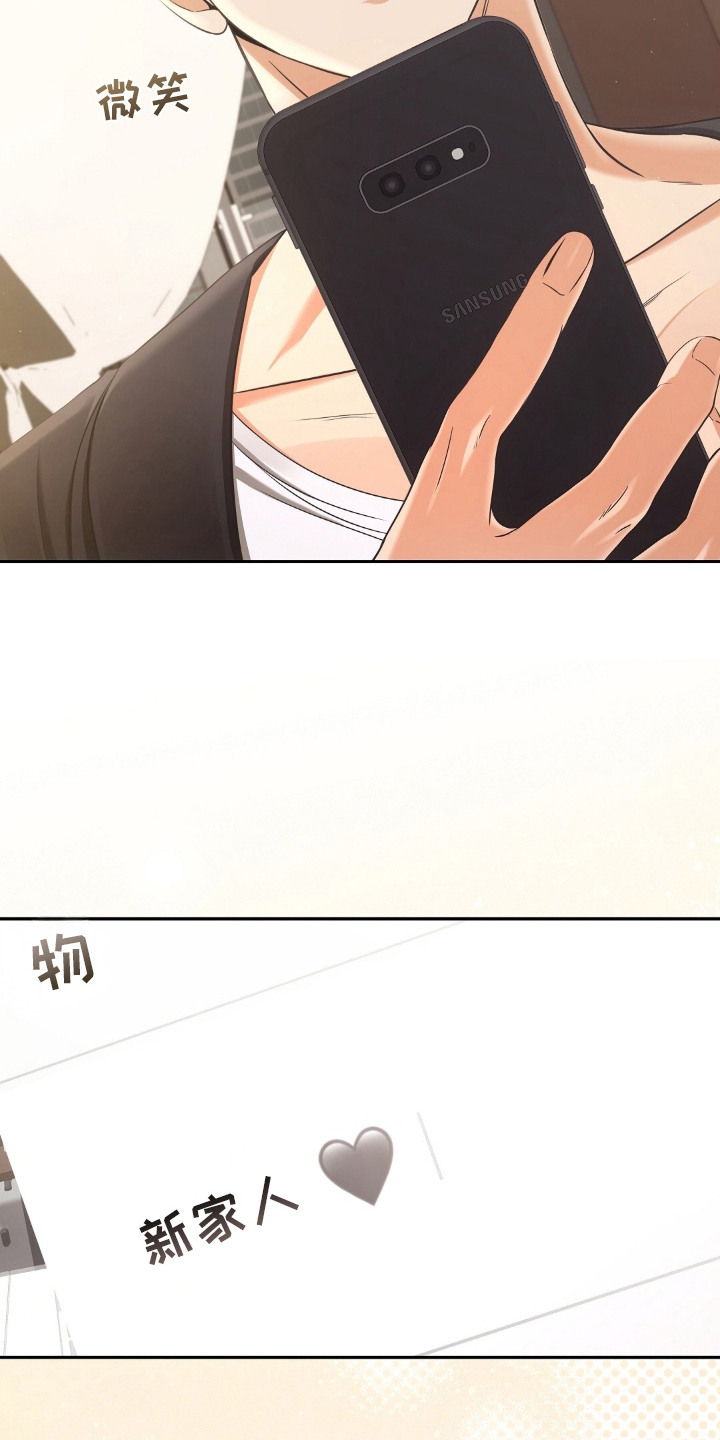 第4章：适应新领域0