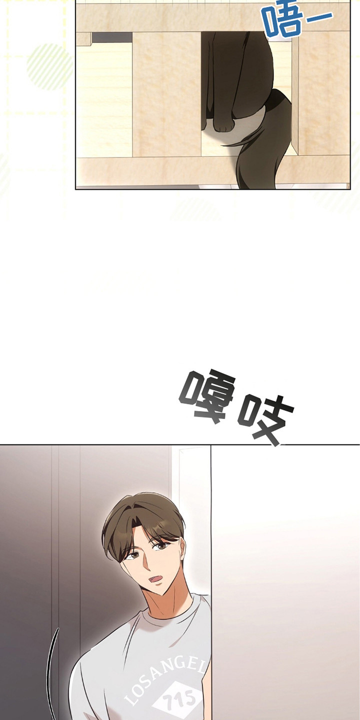 我的黑猫少年漫画,第20章：忙碌3图