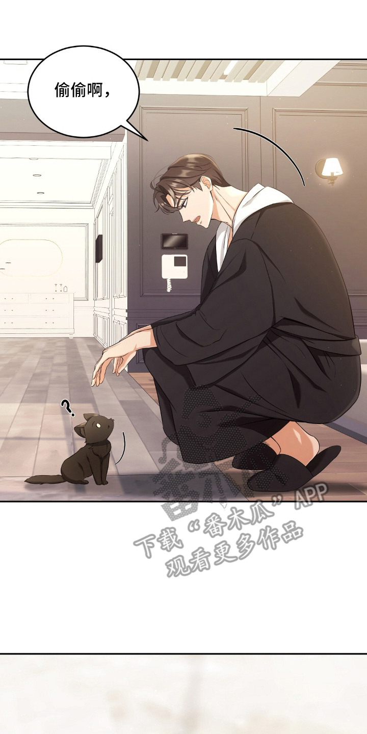 第4章：适应新领域4