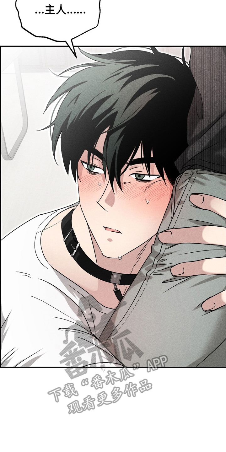 不良式温柔漫画,第9章：玩具项圈3图