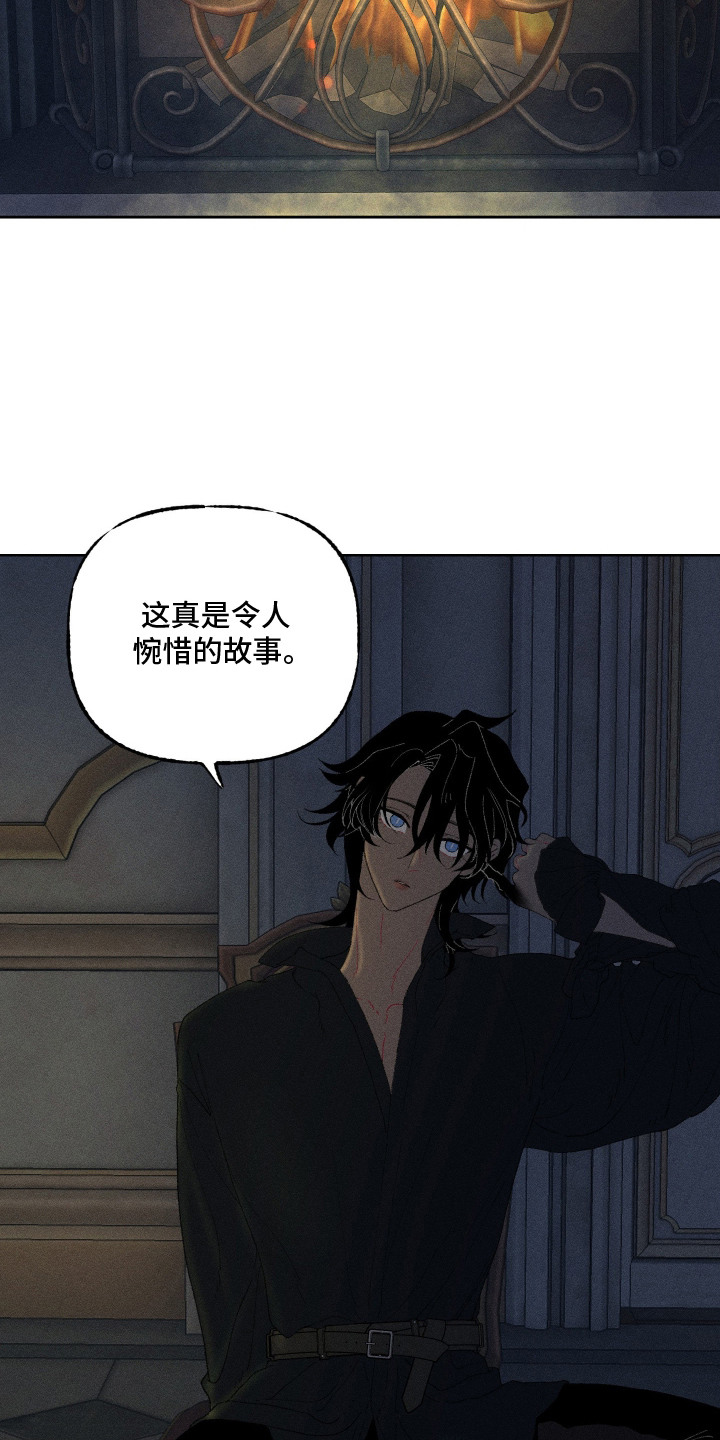 魔法师之骸漫画,第14章：令人惋惜5图