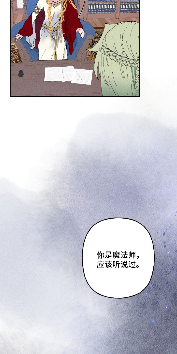 魔法师之骸漫画,第1章：魔法师1图
