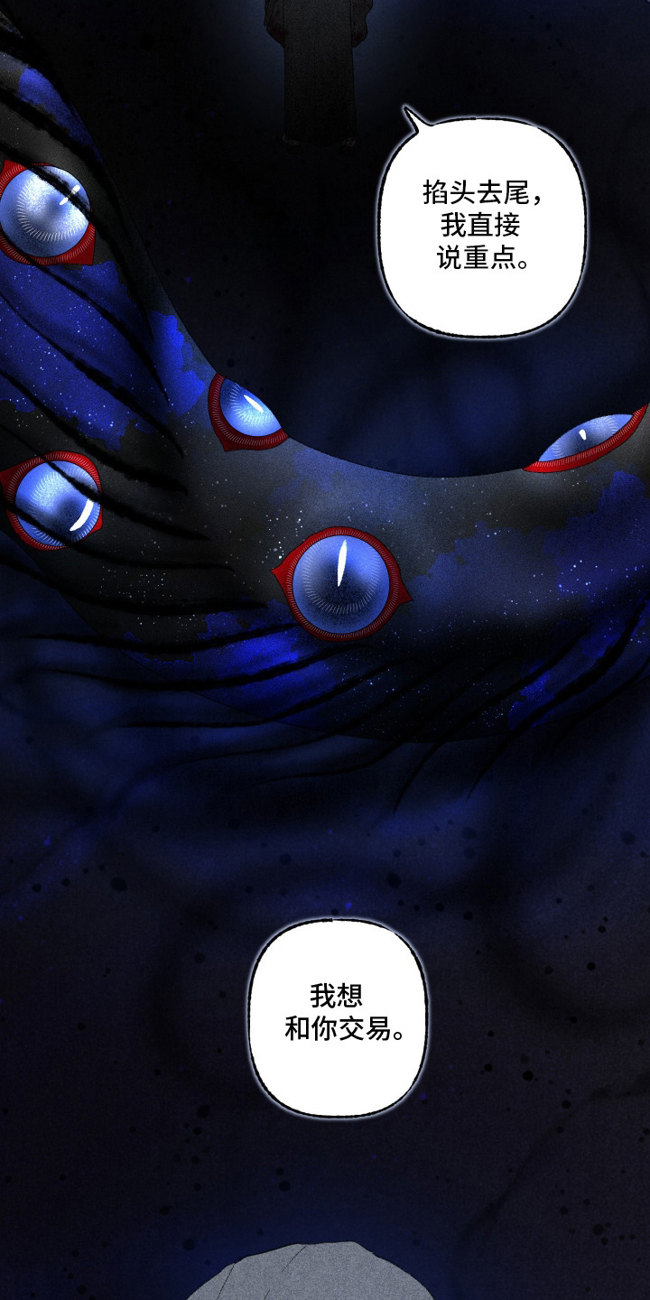 魔法师之死的解析漫画,第12章：阴影2图