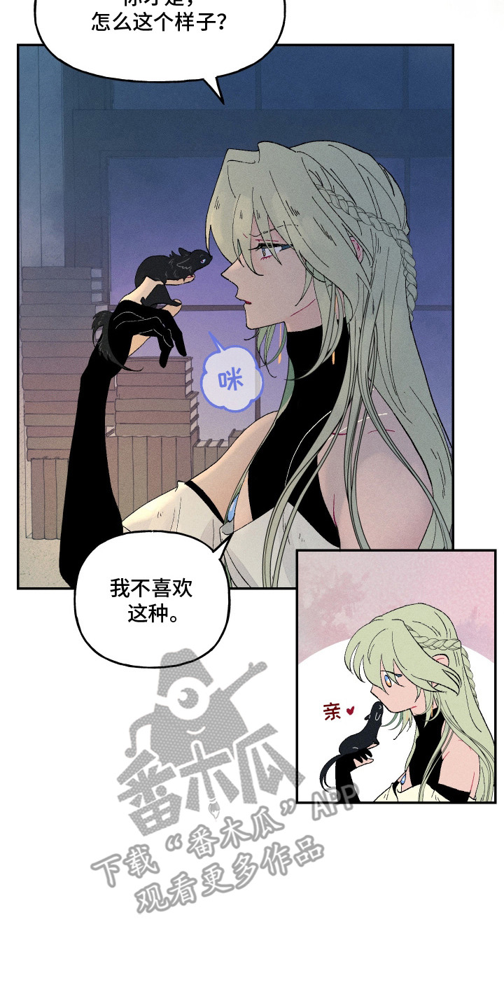 魔法师传奇漫画,第2章：是时候了5图