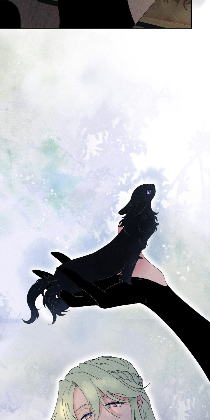 魔法师传奇漫画,第2章：是时候了1图