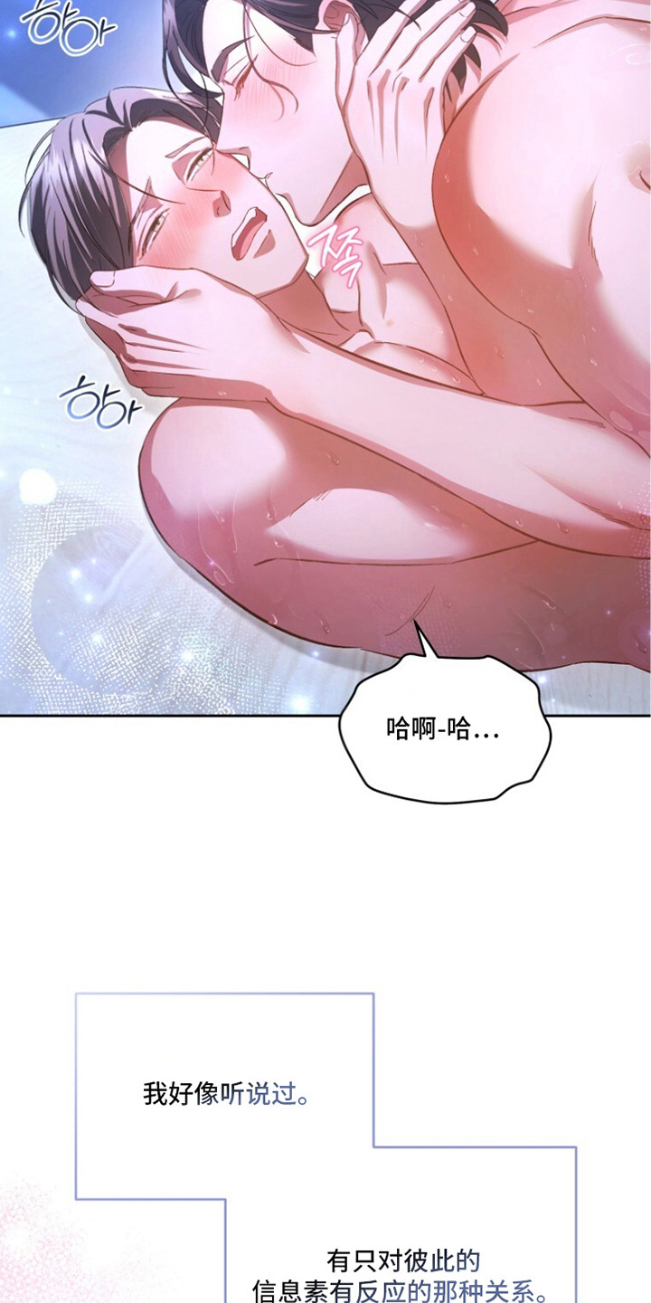 唯你是青山短剧免费看全集漫画,第15章：自投罗网（完结）1图