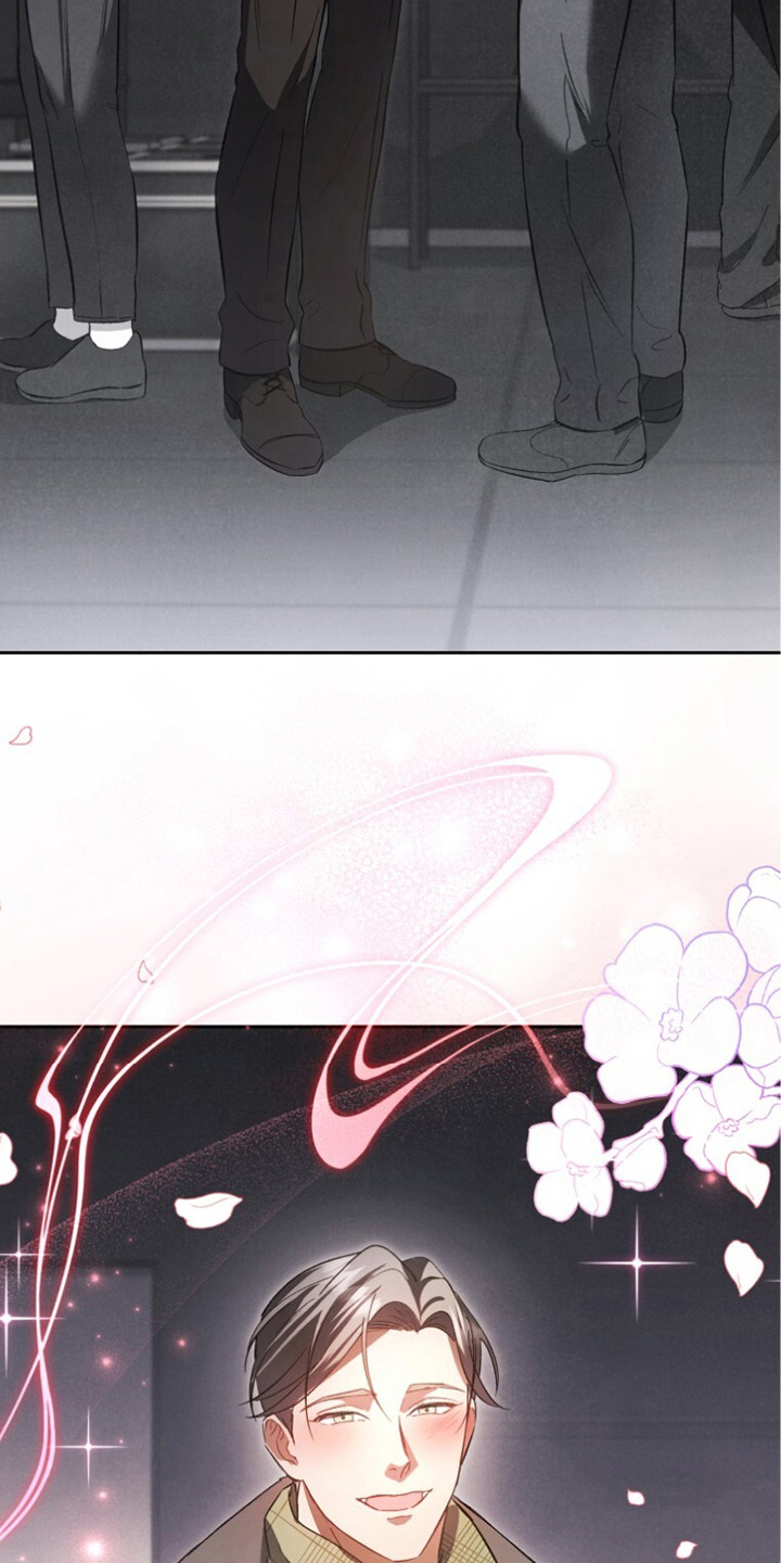 唯你是青山短剧免费看全集漫画,第15章：自投罗网（完结）1图