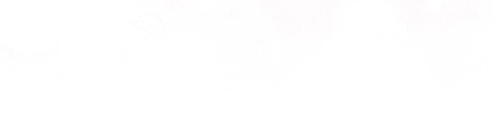 唯你是青山短剧免费看全集漫画,第15章：自投罗网（完结）4图