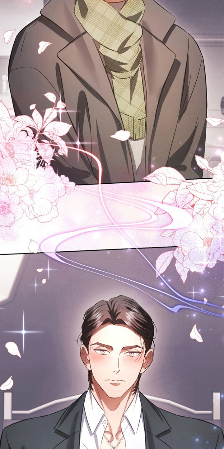 唯你是青山短剧免费看全集漫画,第15章：自投罗网（完结）2图