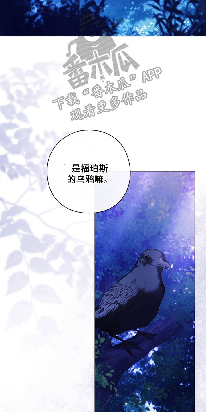 神谕之爱漫画,第16章：他是谁4图