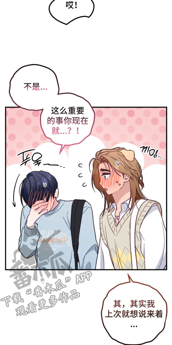 心动尺码漫画,第21章：藏在手心（完结）2图
