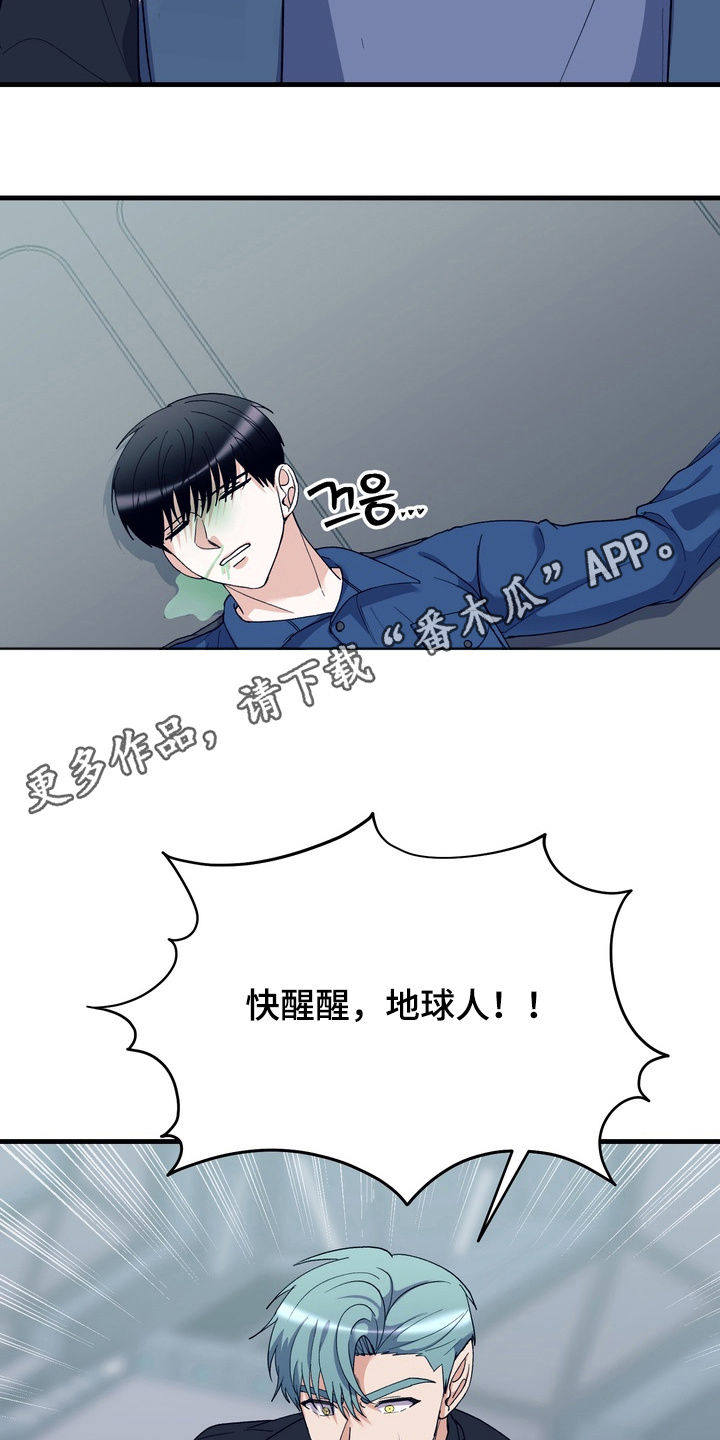 人类男性图鉴漫画,第18章：产卵期4图