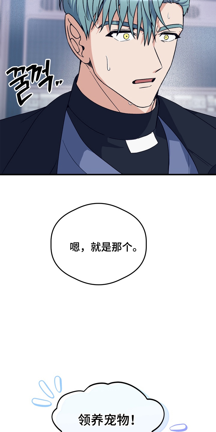 人类男性图鉴漫画,第26章：领养宠物4图