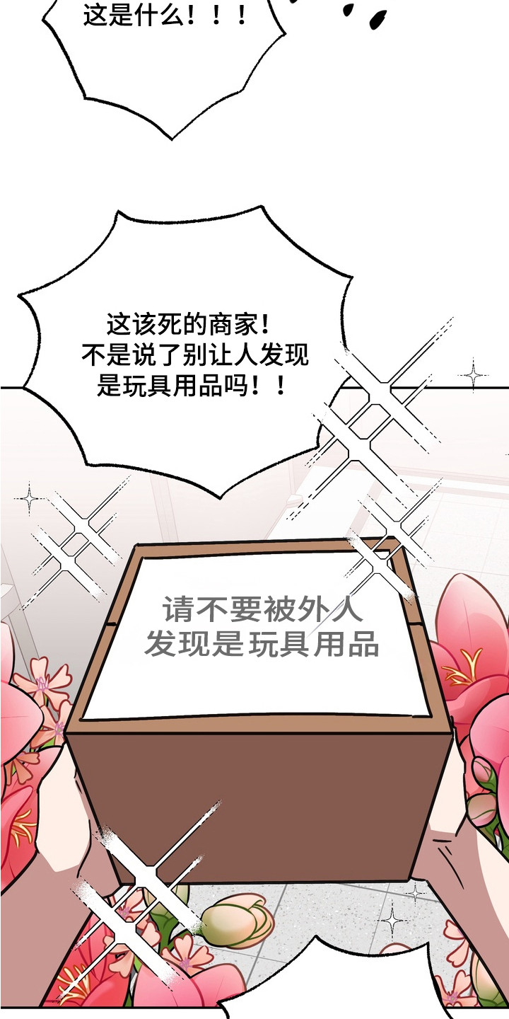 满分惩罚国漫还是日漫漫画,第4章：快递1图