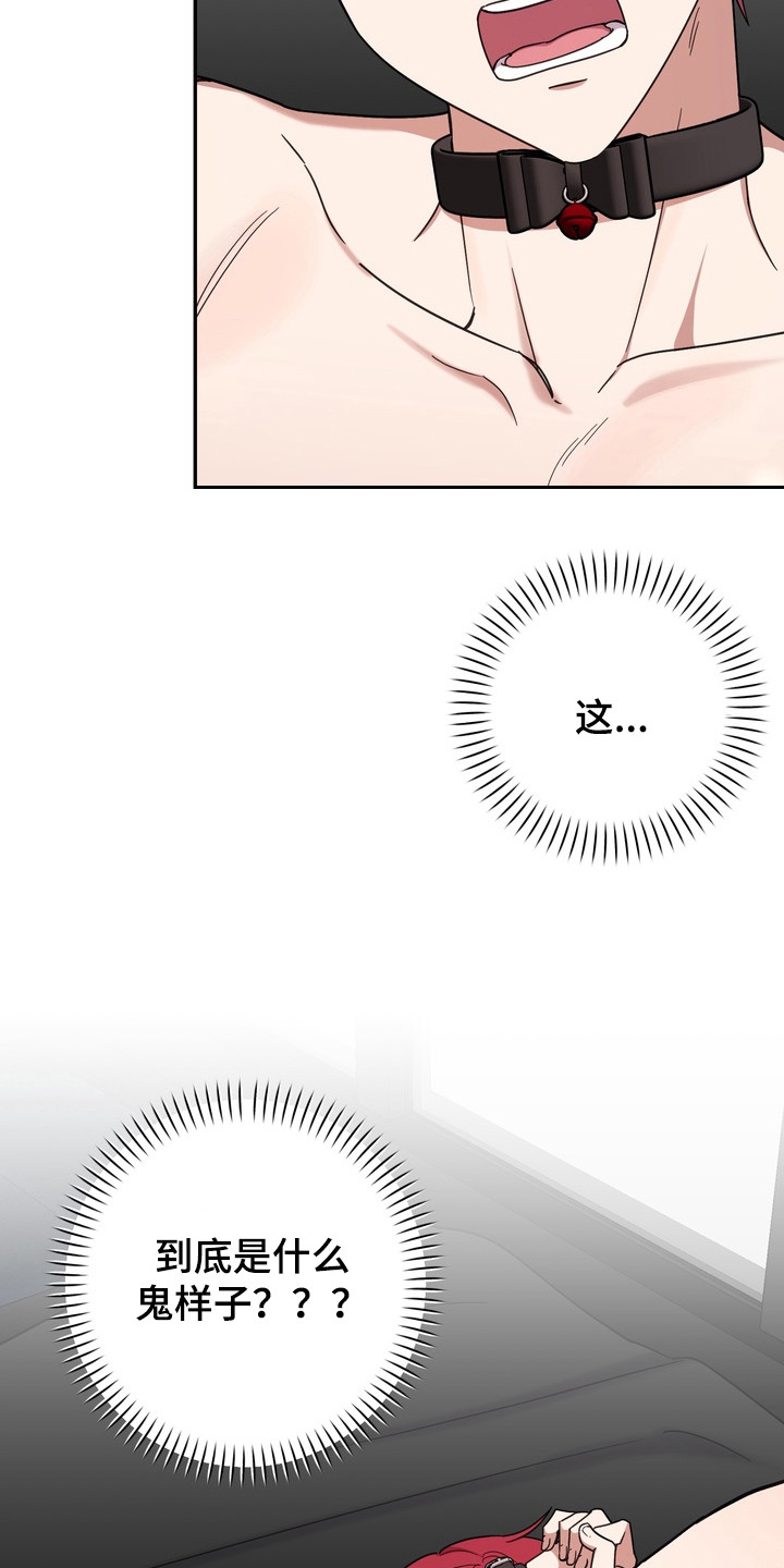 满分惩罚3介绍漫画,第17章：装没看见2图