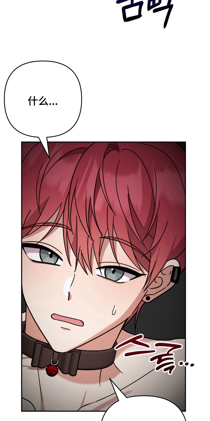 满分惩罚3介绍漫画,第17章：装没看见4图