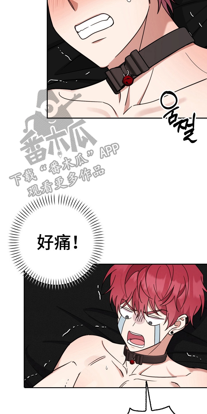 《满分惩罚》香香的剧情简介漫画,第19章：嫉妒4图