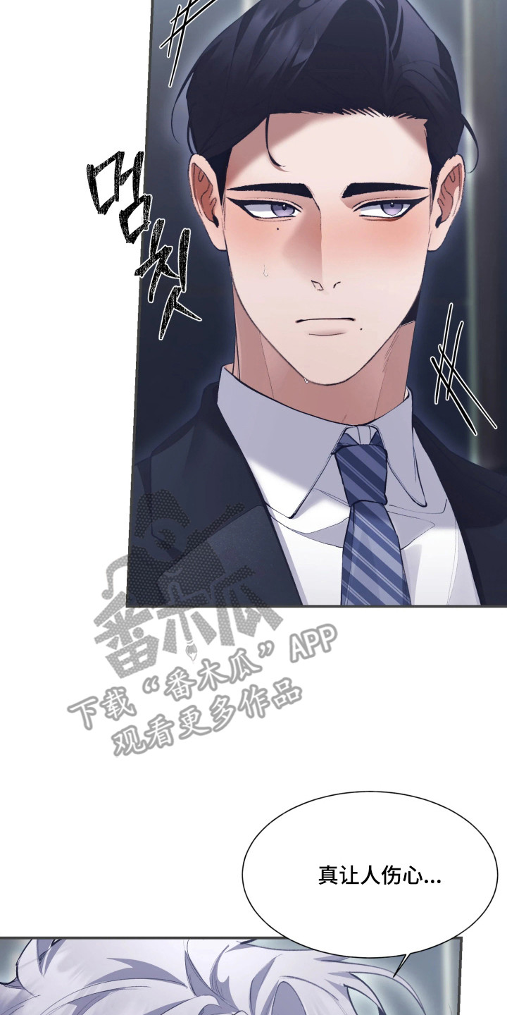 敌对柔情漫画,第11章：合伙做局5图