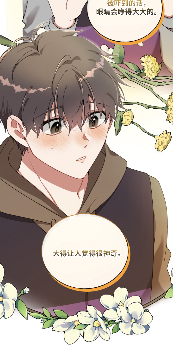 心窗之外漫画,第9章：病入膏肓1图