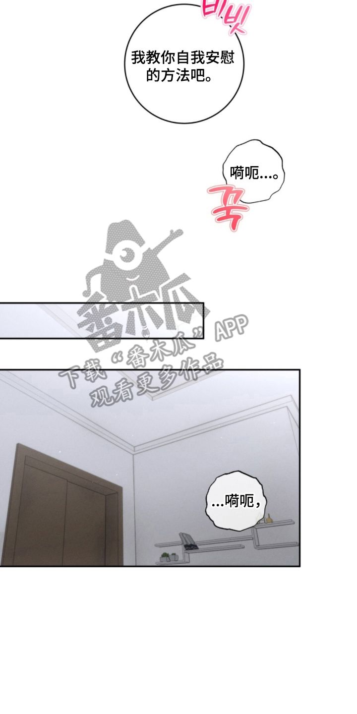 危险的契约漫画,第11章：开始好奇3图