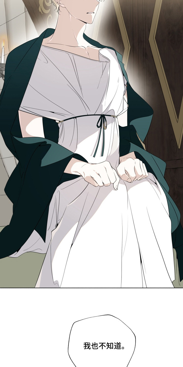 仇海情渊安特罗斯结局漫画,第17章：不见了1图