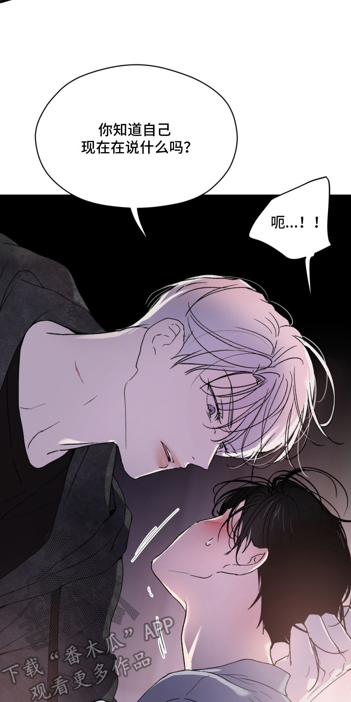 负罪微光白曦剧情漫画,第14章：别走5图