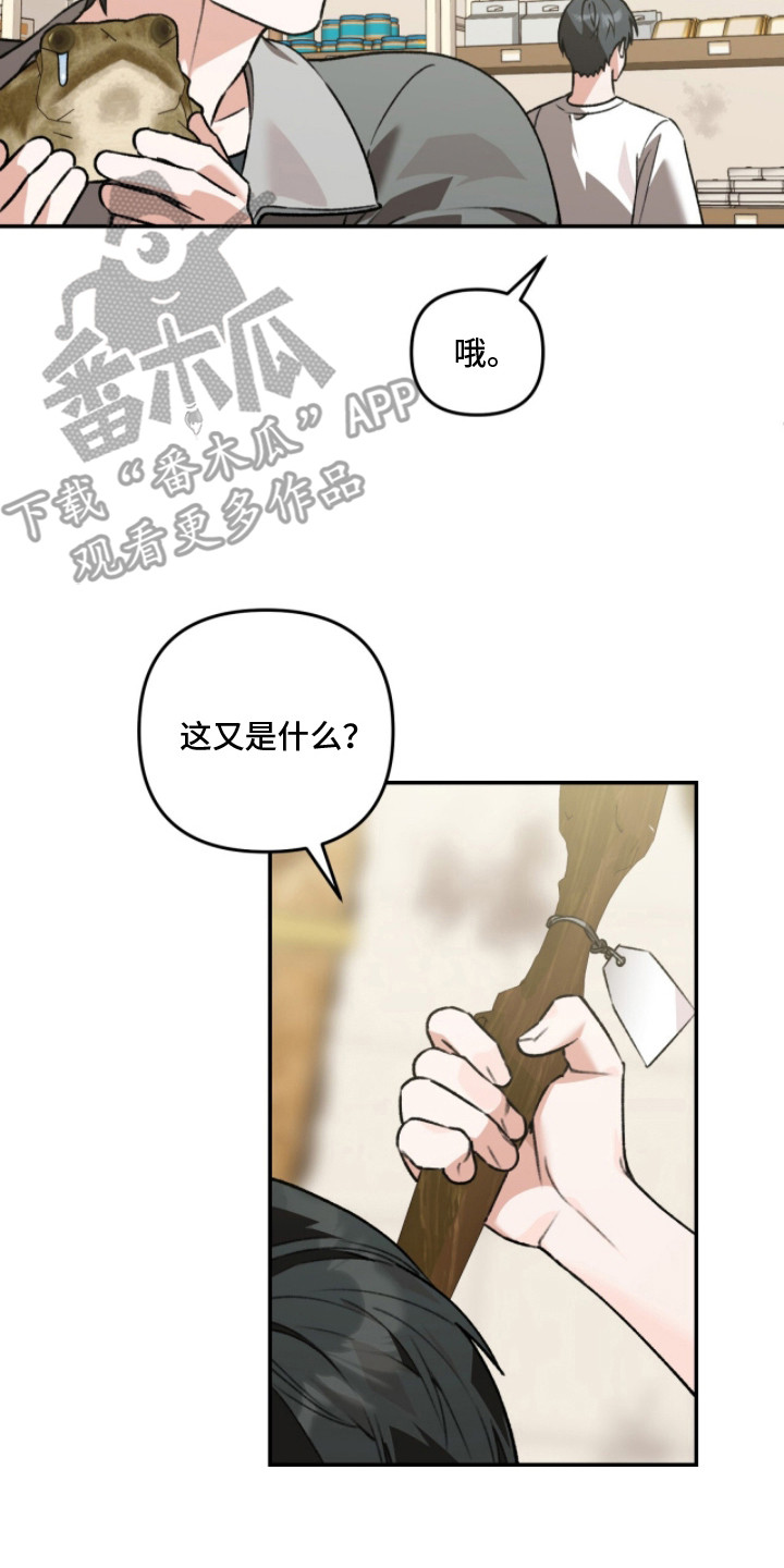 我捡垃圾养你啊漫画,第9章：贵重3图