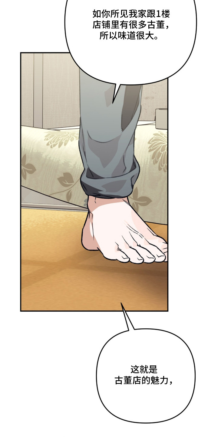 我捡垃圾养你啊漫画,第4章：古董店4图