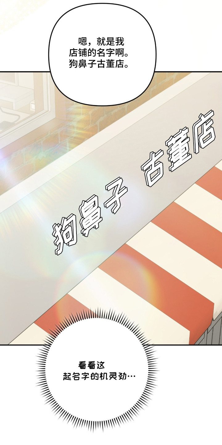 我捡垃圾养你啊漫画,第4章：古董店2图