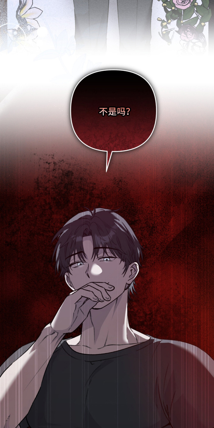 我捡垃圾养你啊漫画,第4章：古董店3图