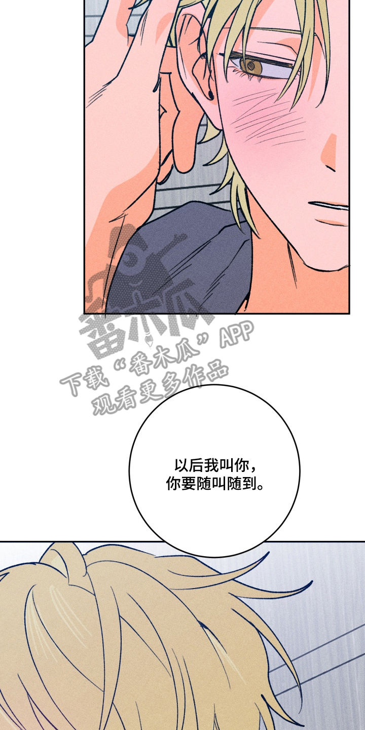 第11章：彻底摧毁3